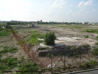 Imagine atasata: Dermatina - 2014.08.11 - 06.jpg